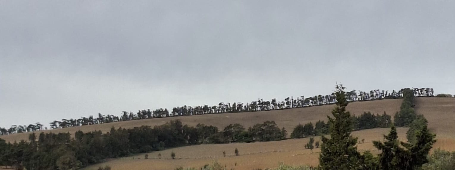 بنزرت:  استرجاع عقار دولي فلاحي يمسح 7 هكتارات بمعتمدية راس الجبل