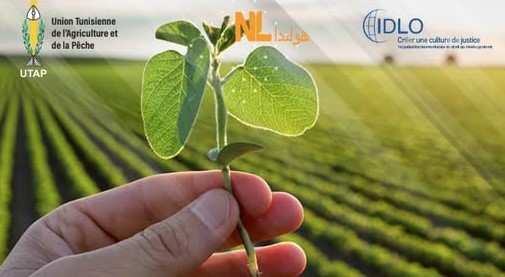 يشمل 5 ولايات: انطلاق مشروع التهيئة العقارية للأراضي الفلاحية والنفاذ إلى التمويل