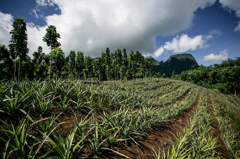 Soutenir les agriculteurs sur trois ans : un projet majeur pour régulariser les terres et faciliter l’accès aux ressources financières