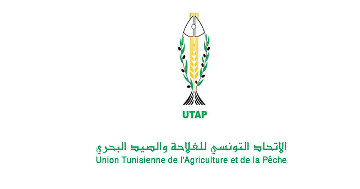 الإعلان رسميا عن انطلاق مشروع التهيئة العقارية للأراضي الفلاحية.