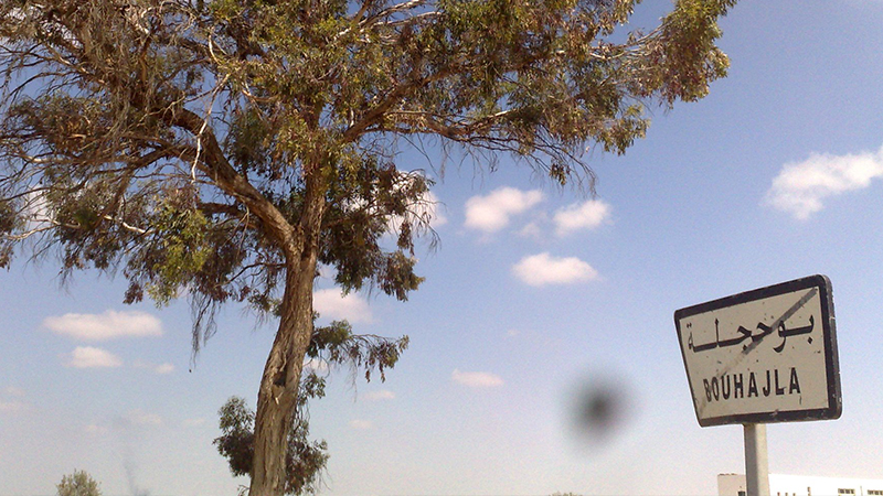 القيروان: مشروع مبتكر في مجال تحويل المنتوجات الفلاحية.