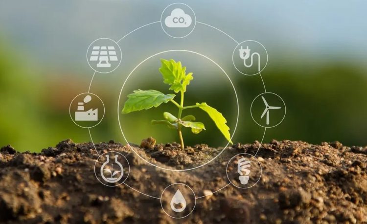 الجمعة المقبل: إطلاق مبادرة جديدة لقياس الأثر البيئي والمجتمعي والحوكمي للمؤسسات  