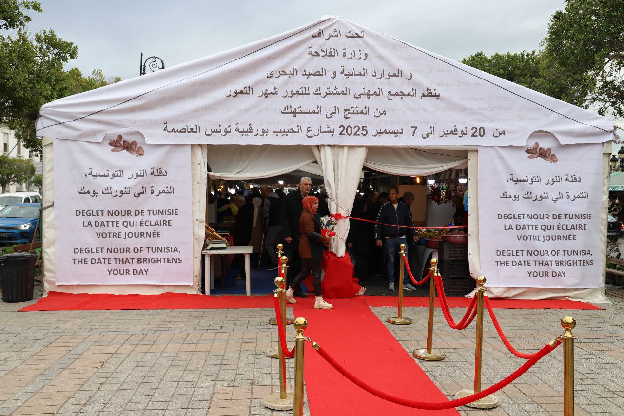 تونس تحتفي بشهر التمور: من المنتج إلى المستهلك