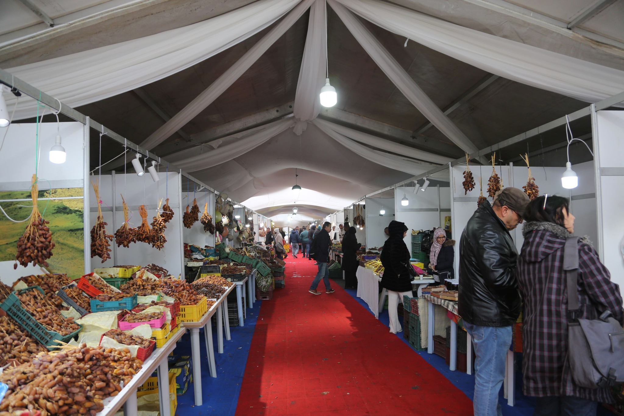 عمليات بيع التمور من المنتج الى المستهلك تتواصل بالعاصمة الى 7 ديسمبر المقبل