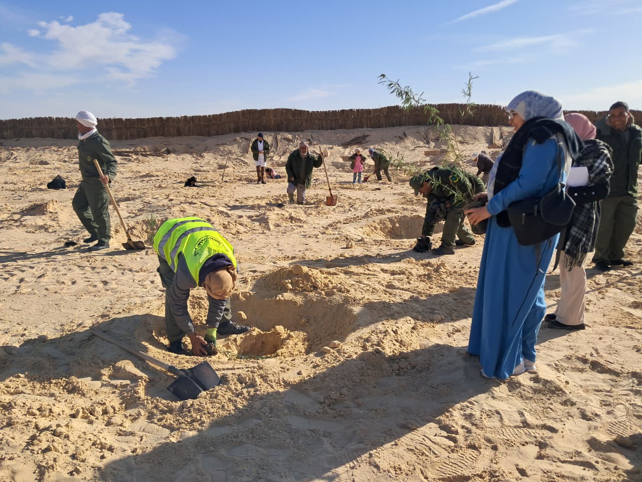 توزر: حملة تشجير بمنطقة التعمير بحزوة ضمن مشروع التنمية الريفية المندمجة بتعاون تونسي–إيطالي
