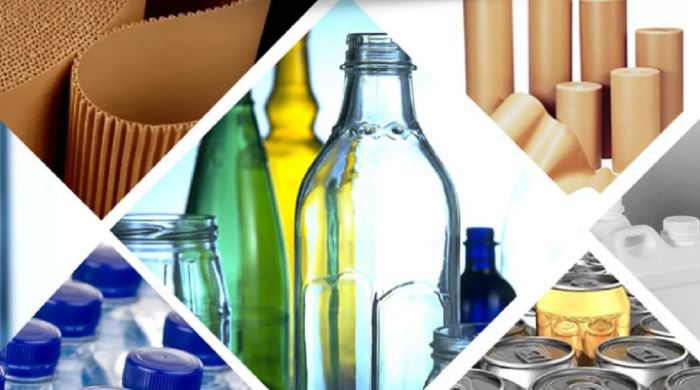 وزيرة الصناعة: تونس تمتلك الإمكانات للتموقع كفاعل إقليمي استراتيجي في إفريقيا والشرق الأوسط في قطاع التغليف