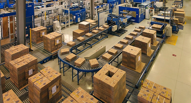 قطاع التغليف: "تونس تمتلك الامكانات للتموقع كفاعل إقليمي استراتيجي في إفريقيا والشرق الأوسط' (وزيرة الصناعة)