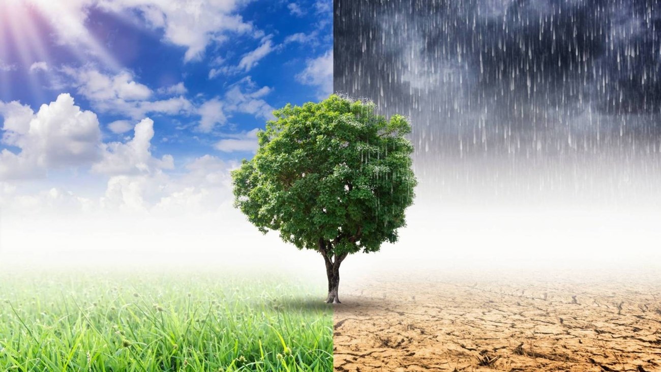 مشاركة شبابية فاعلة في قمة المناخ العالمية