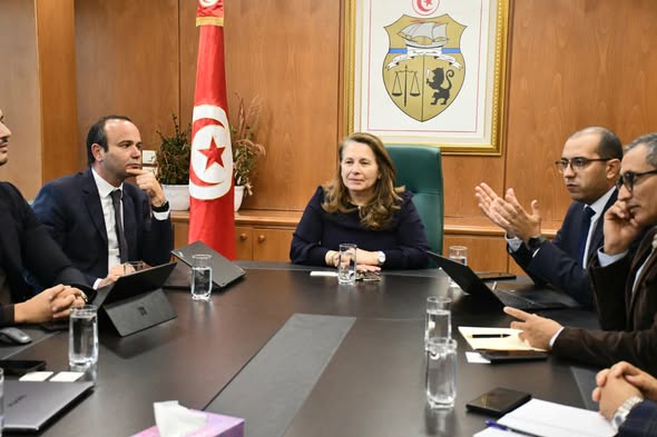 مؤسسة "YJC Power" تعتزم إحداث وحدة جديدة لإنتاج بطاريات الليثيوم في تونس