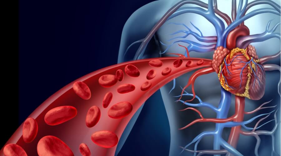 قفصة: انطلاق فعاليات الدورة 25 للمؤتمر الطبي حول أمراض القلب والأوعية الدموية العصبية