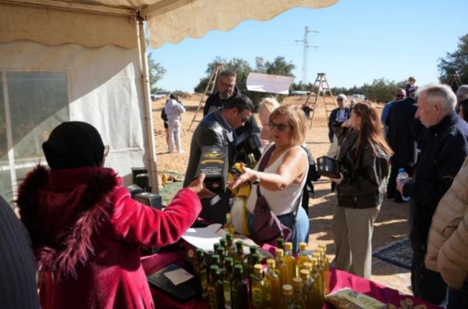 زيارة سياحية إلى هنشير الشعّال : اكتشاف إحدى أكبر ثروات تونس الفلاحية وتعزيز إشعاع زيت الزيتون التونسي