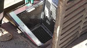 زيقو فلتر-مشروع جديد يقدم حلا لمشكلة الفياضنات و التلوث البحري في تونس