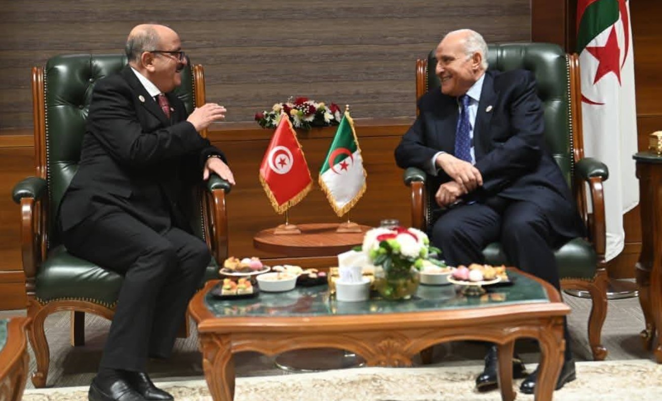   المسائل المتعلقة بالسلم والأمن والتنمية بالقارة الإفريقية محور لقاء وزير الخارجية بنظيره الجزائري 