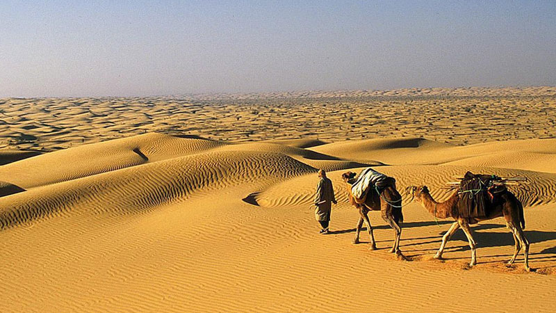 فتح باب التسجيل للمشاركة في مسابقة الفيلم الوثائقي حول توثيق الذاكرة البدوية والتراث الصحراوي