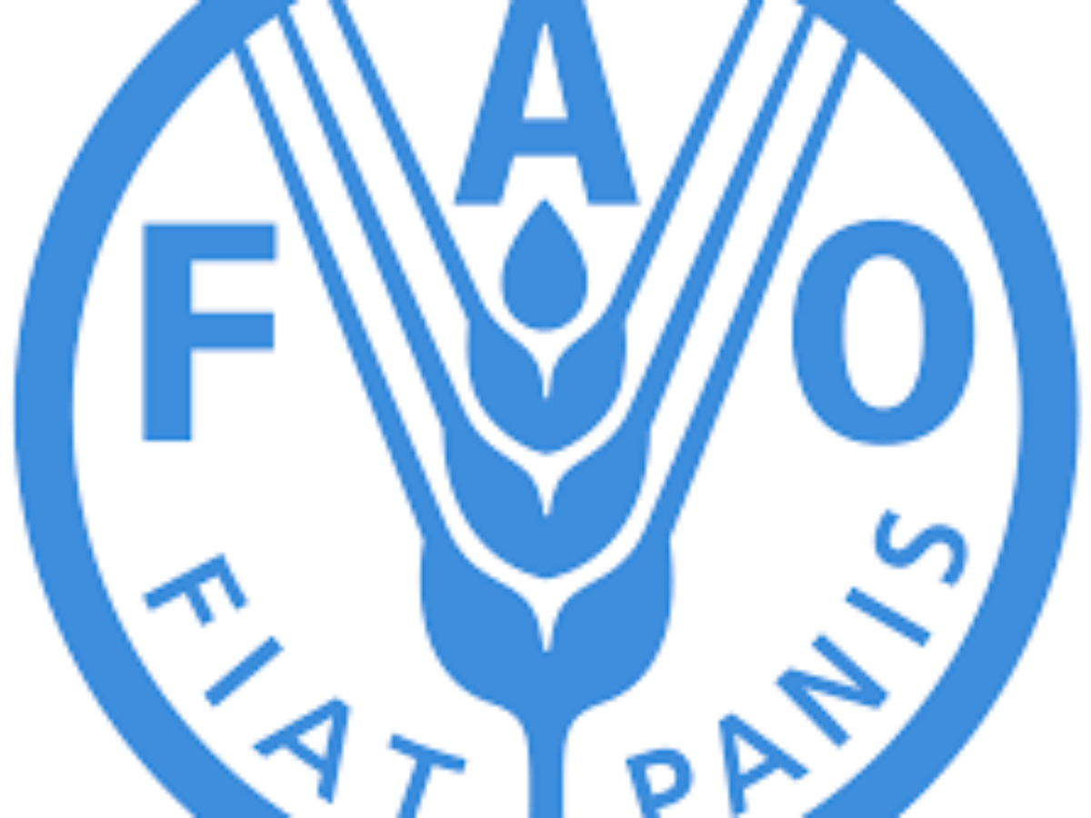 تونس تحتضن ورشة وطنية للإنذار المبكر ضد حمى الوادي المتصدع