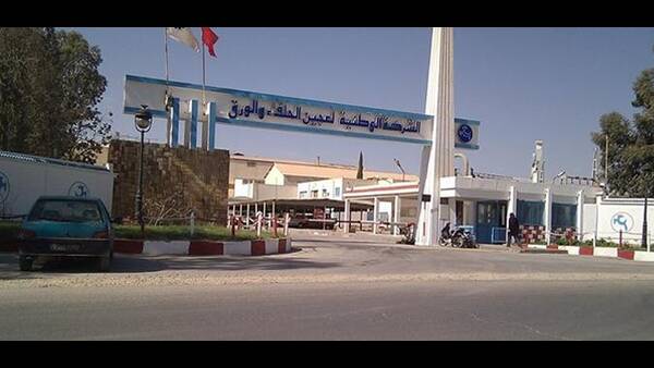 مشروع قانون المالية 2026: المصادقة على مقترح فصل جديد يتعلّق بدعم الشركة الوطنية لعجين الحلفاء والورق