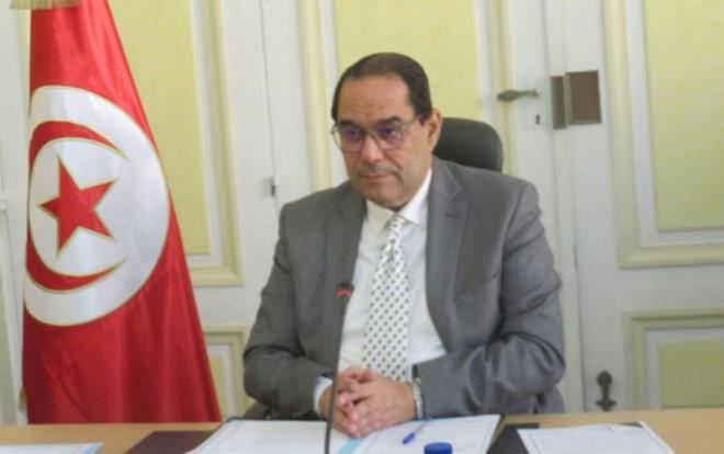 اعداد برنامج خاص بقنص الكلاب السائبة والمسك بمداخل المدن والمناطق السياحية والحدائق والمنتزهات 