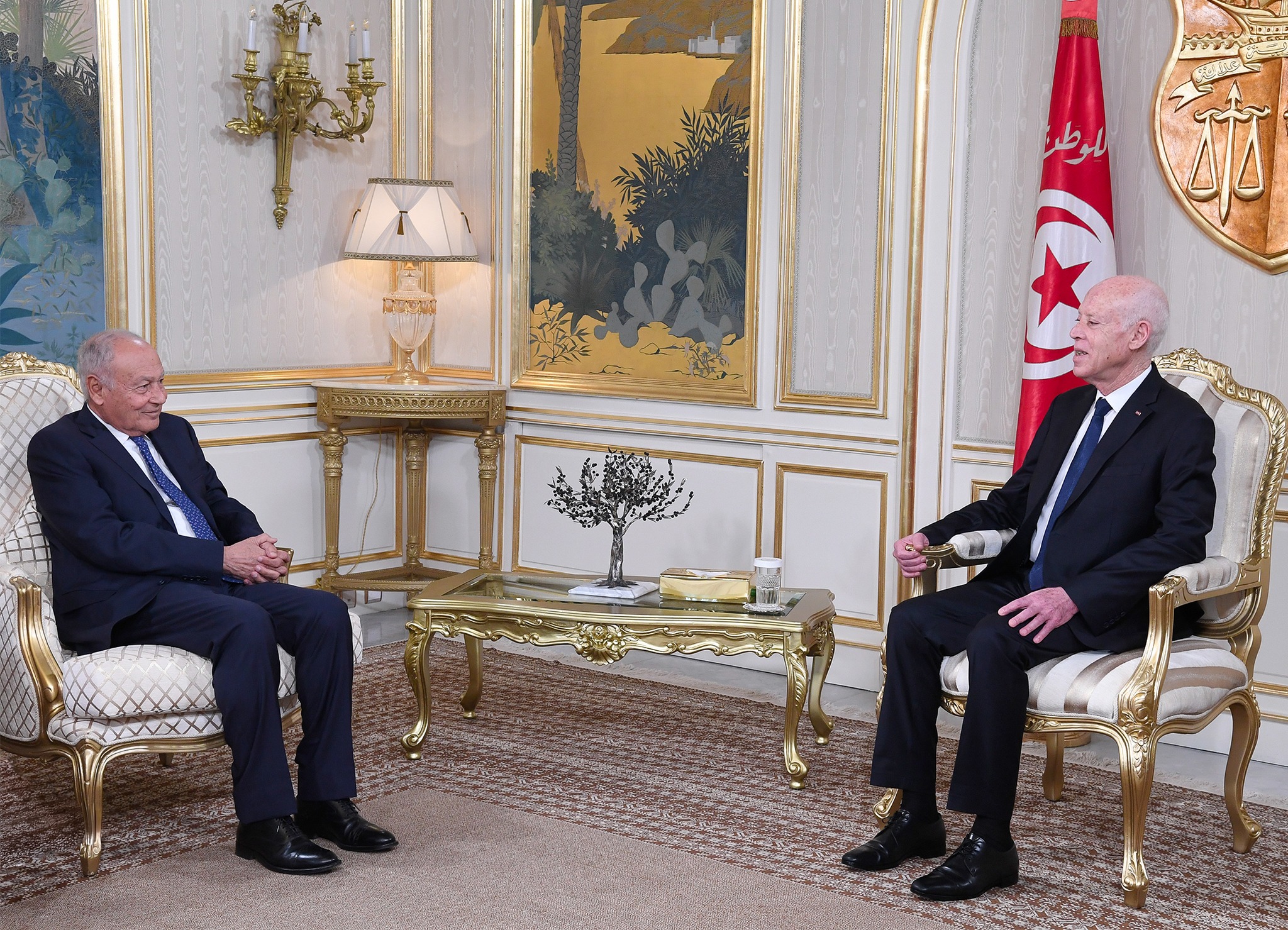 رئيس الجمهورية يشدد على ضرورة أن تكون البلاد العربية كلّها في موعد مع التحوّلات الرقمية