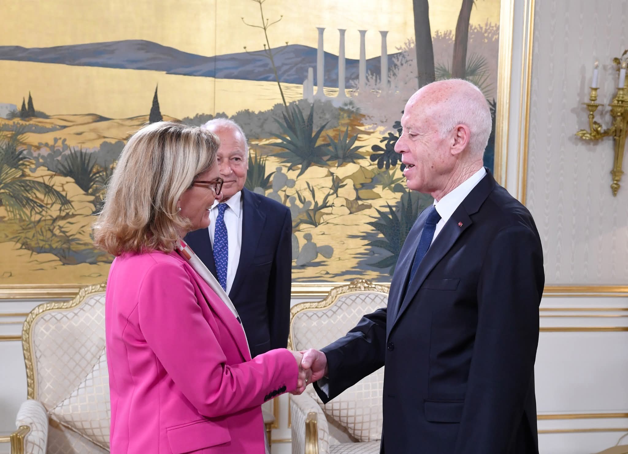 رئيس الجمهورية يشدد على ضرورة أن تكون البلاد العربية كلّها في موعد مع التحوّلات الرقمية