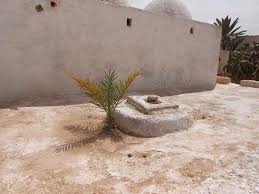 جربة: الفساقي  جزء من تراث  في إدارة المياه وعنصر مهم  في التراث المعماري للجزيرة