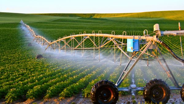 قانون الاستثمار التونسي يوفّر امتيازات هامة للمشاريع التي تعتمد التكنولوجيا الحديثة تصل إلى 50 بالمائة من قيمة الاستثمار