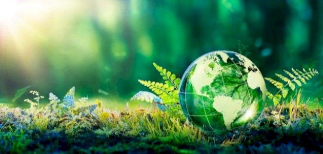 المركز الدولي لتكنولوجيا البيئة يطلق تكوينا لفائدة 100 من أصحاب أفكار المشاريع الخضراء