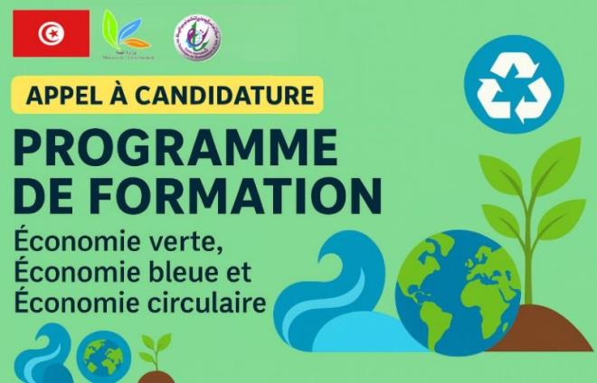التحوّل الإيكولوجي: المركز الدولي لتكنولوجيا البيئة يطلق تكوينا لفائدة 100 من أصحاب أفكار المشاريع الخضراء المجددة