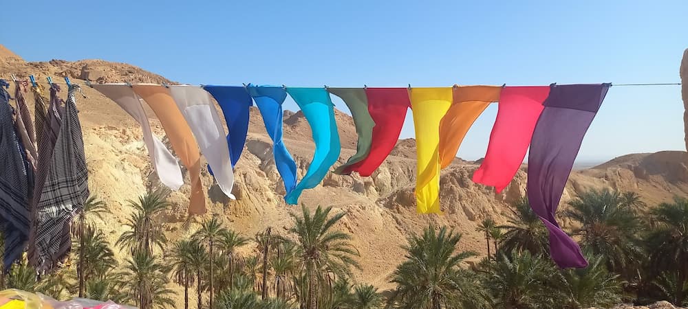 تونس تستعد لتنظيم الدورة الثانية من صالون السياحة الصحراوية والواحية مطلع 2026