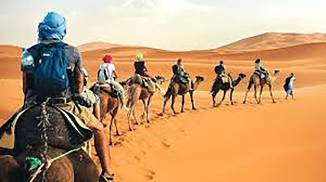 تونس تستعد لتنظيم الدورة الثانية من صالون السياحة الصحراوية والواحية مطلع 2026