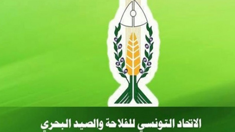 إتحاد الفلاحة يدعو مجلس الجهات والأقاليم إلى إضافة مقترحات لفائدة القطاع الفلاحي ضمن مشروع قانون المالية 2026
