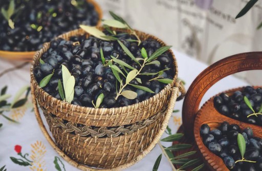 ر م ع ديوان الزيت: تقدّم بـ17% في موسم جني الزيتون وسعر لتر زيت الزيتون بالمعاصر بين 11 و14 دينارا