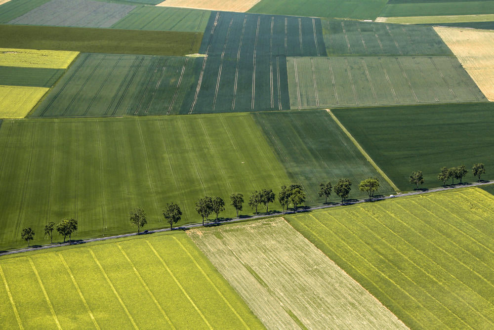 الكاف: إسناد 15 مقسما دولياً للباعثين الشبان من حاملي الشهادات العليا ومن العاطلين عن العمل