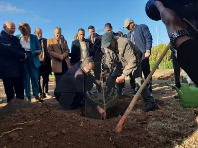 اليوم العالمي لشجرة الزيتون: وزير الفلاحة يدعو الطلبة الى استثمار الفرص الواعدة في قطاع زيت الزيتون و خدمة سلسلة القيمة