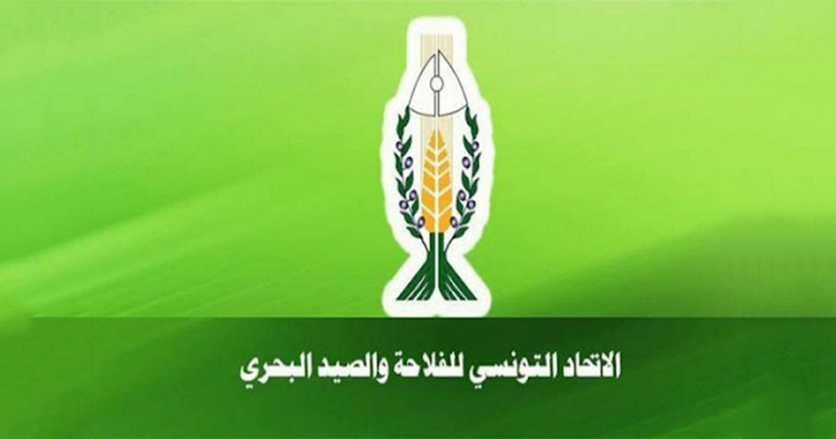 المكتب التنفيذي للاتحاد التونسي للفلاحة يطالب بالتسريع في توفير الأسمدة والبذور لانجاح موسم الزراعات الكبرى
