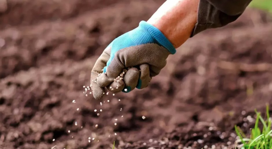 اتحاد الفلاحة يدعُو إلى توفير الأسمدة والتسريع في نســـق التزويد بالبذور الممتازة  