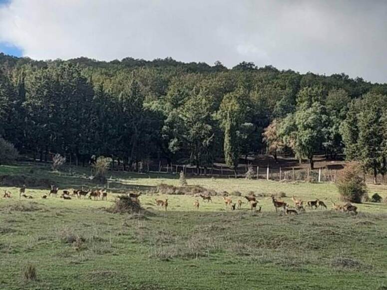 في الحديقة الوطنية بالفايجة: تعبئة وسائل الاعلام لحماية التراث الطبيعي