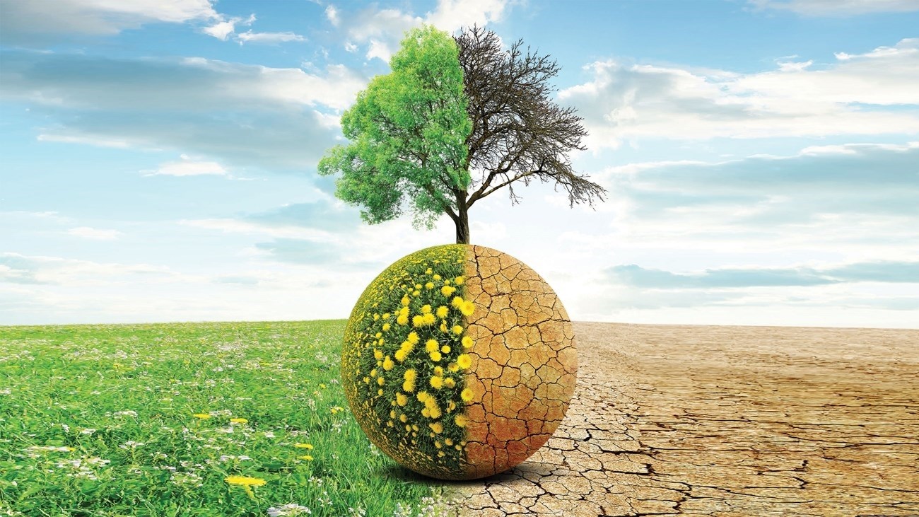 الصندوق العالمي للطبيعة يدعو إلى المشاركة في حماية المناخ