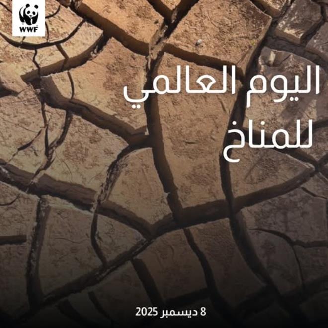 الصندوق العالمي للطبيعة يدعو الى المشاركة في حماية المناخ