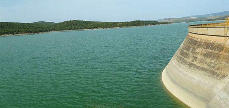 وزارة الفلاحة: سدود الشمال تدعّمت بـ51 مليون م3 من مياه الأمطار
