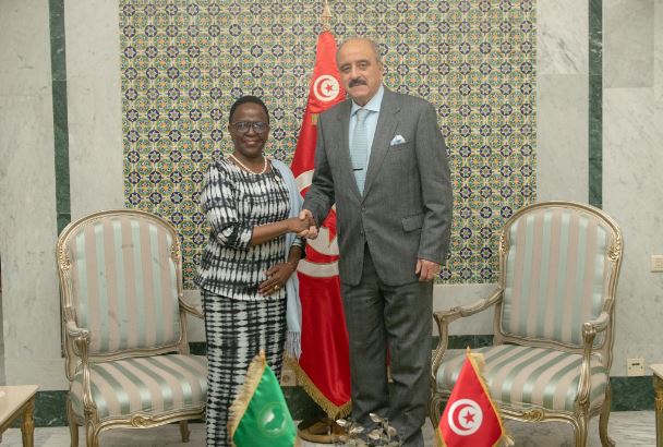 وزير الخارجية يستقبل المبعوثة الخاصة للاتحاد الإفريقي للمرأة والأمن والسلم