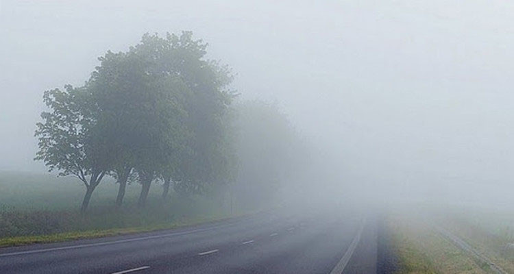 اليوم.. ضباب محليا كثيف بالشمال ثم طقس مغيم جزئيا بأغلب المناطق