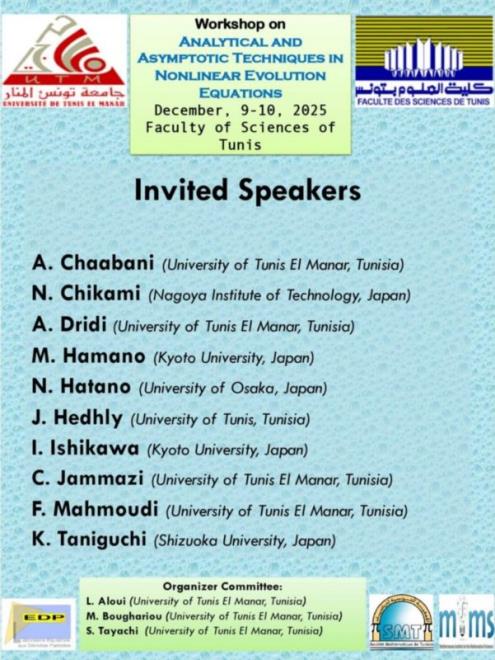 ملتقى حول "التقنيات التحليلية والتقاربية في معادلات التطور غير الخطية" بكلية العلوم بتونس
