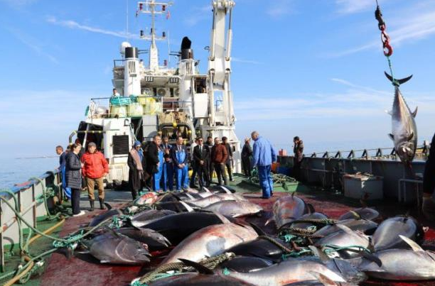 وزير الفلاحة يطلع على نشاط تربية التنّ الأحمر في سوسة