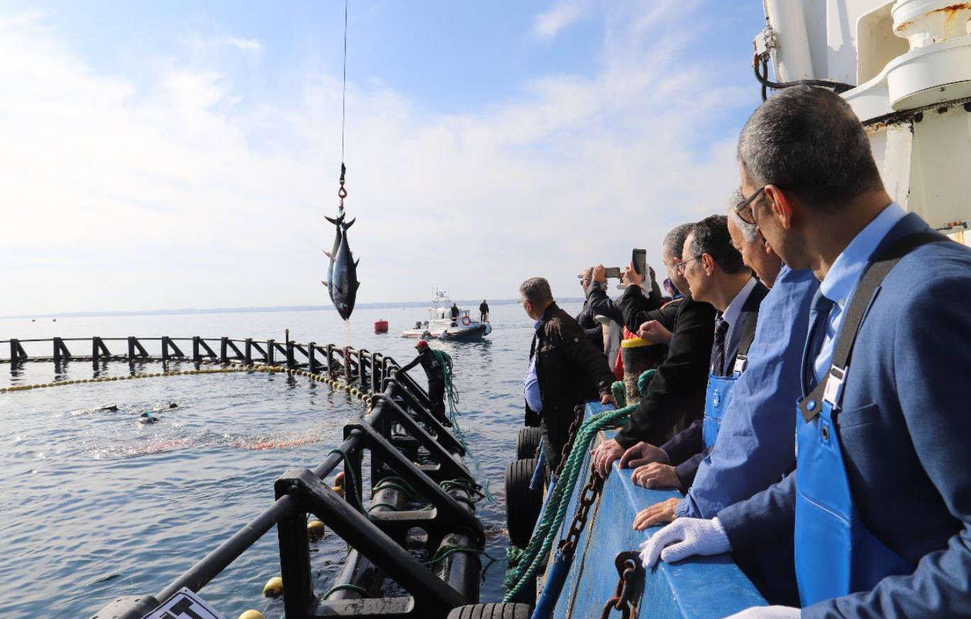 وزير الفلاحة يطلع على نشاط تربية التنّ الأحمر في سوسة