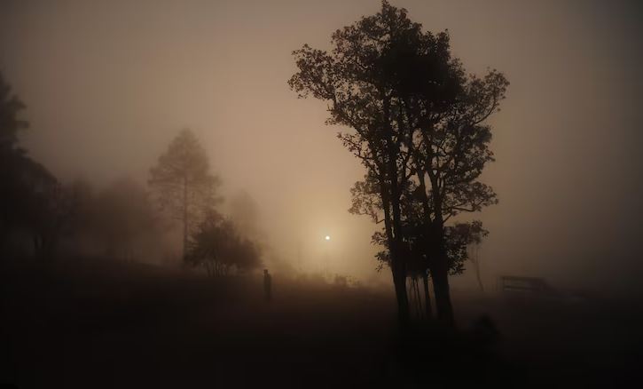 ظهور ضباب محلي الليلة وغدا الخميس