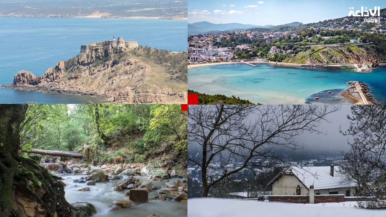 مندوب السياحة طبرقة عين دراهم: أرقام قياسية في عدد السياح الجزائريين ونتوقع بلوغ مليون و600 ألف وافد موفى 2025