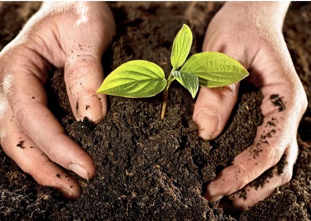 اهمية الاسمدة المساعدة على الحفاظ على رطوبة التربة.