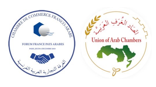 المياه والبيئة محور اهتمام القمّة الاقتصاديّة العربية الفرنسية