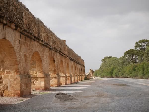 ضباب محليا كثيف ثم طقس مغيم جزئيا