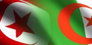 Tunisie–Algérie : Le CEPEX ouvre la voie à de nouveaux partenariats